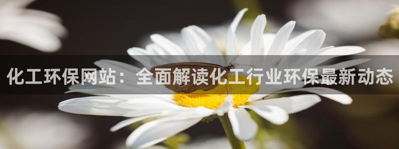 亿万先生mr014：化工环保网站：全面解读化工行业环保最新动态