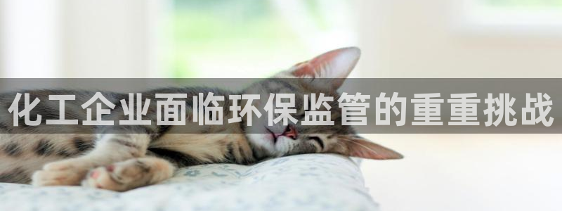 亿万的亿：化工企业面临环保监管的重重挑战