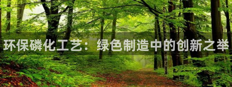 亿万先生官方网站下载手机版：环保磷化工艺：绿色制造中的创新之举