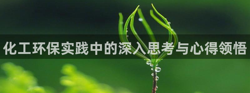 亿万先生客服：化工环保实践中的深入思考与心得领悟