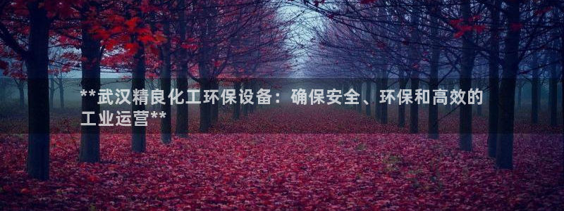 亿万先生：**武汉精良化工环保设备：确保安全、环保和高效的
工业运营**