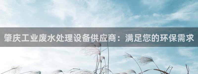亿万国际平台是正规的吗安全吗：肇庆工业废水处理设备供应商：满足您的环保需求