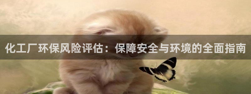 亿万先生换网址了吗知乎：化工厂环保风险评估：保障安全与环境的全面指南