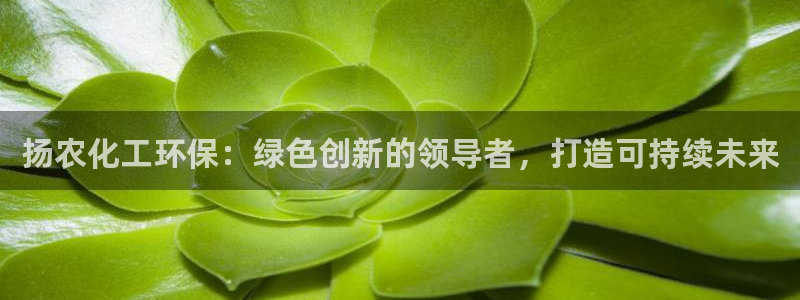 亿万先生合并网址在哪：扬农化工环保：绿色创新的领导者，打造可持续未来