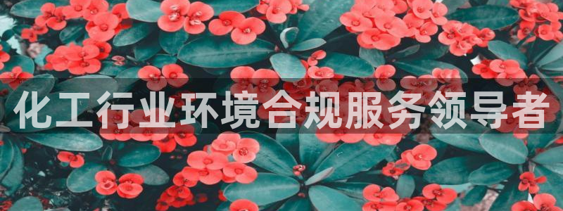 亿万先生手机网页：化工行业环境合规服务领导者