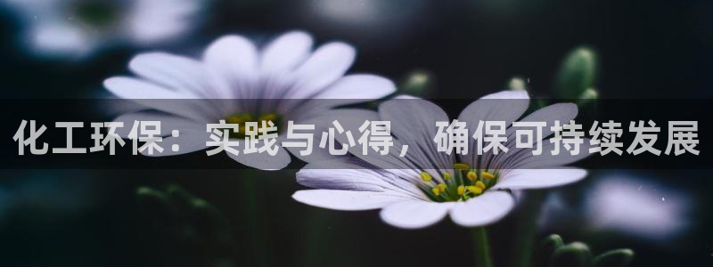 亿万先生mr：化工环保：实践与心得，确保可持续发展