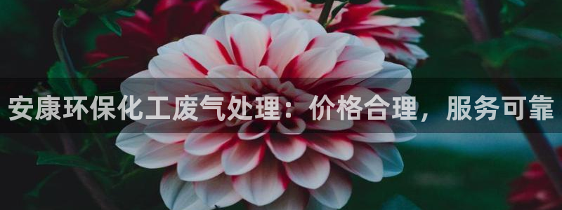 亿万app下载：安康环保化工废气处理：价格合理，服务可靠