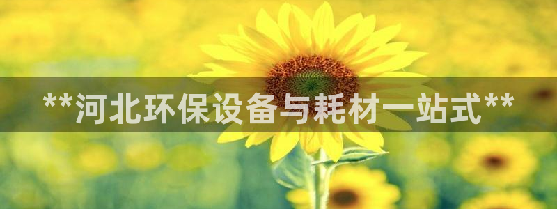 亿万先生手机版：**河北环保设备与耗材一站式**