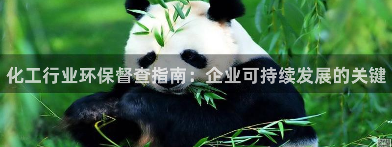 亿万先生手机版客户端下载官网：化工行业环保督查指南：企业可持续发展的关键