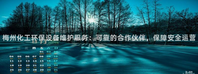 mr07亿万先生：梅州化工环保设备维护服务：可靠的合作伙伴，保障安全运营