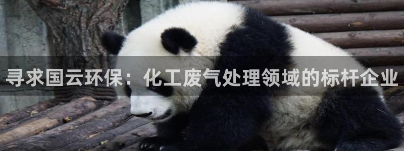 亿万笞人：寻求国云环保：化工废气处理领域的标杆企业