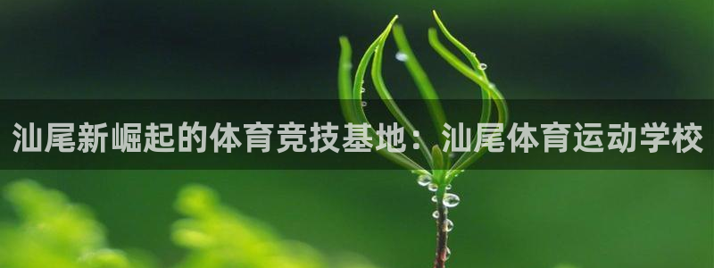ug环球官网：汕尾新崛起的体育竞技基地：汕尾体育运动学校
