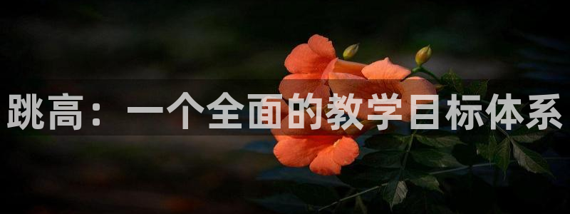 ug环球官网登录入口：跳高：一个全面的教学目标体系