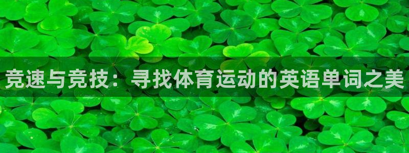 ug环球官网登录入口：竞速与竞技：寻找体育运动的英语单词之美