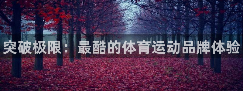 ug环球官网注册：突破极限：最酷的体育运动品牌体验