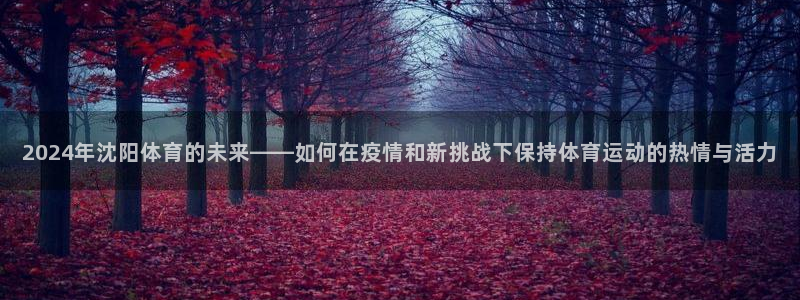 ug环球官网：2024年沈阳体育的未来——如何在疫情和新挑战下保持体育运动的热情与活力