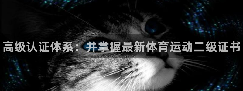 ug环球官网：高级认证体系：并掌握最新体育运动二级证书