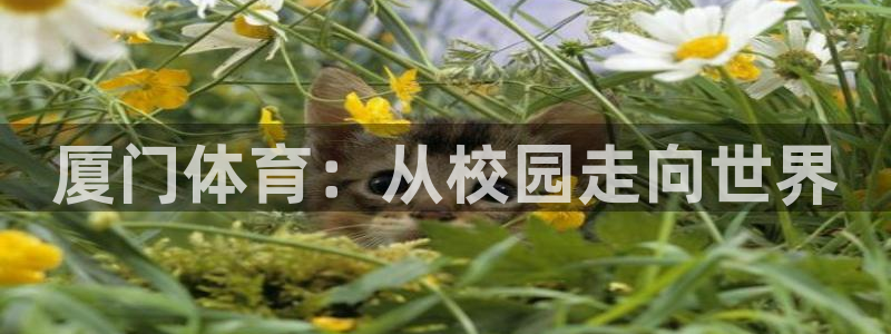 ug环球官网注册