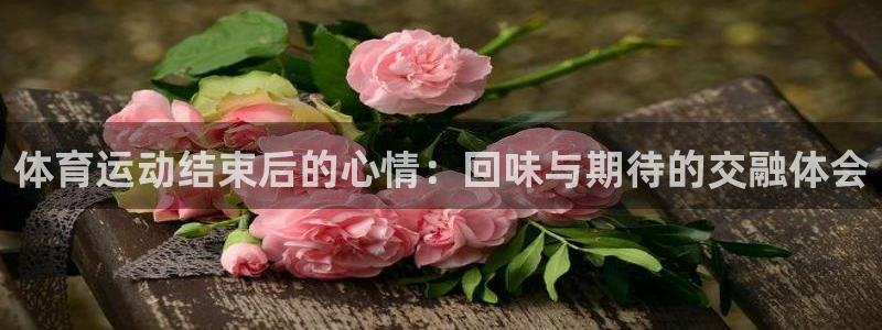 ug环球官网登录入口：体育运动结束后的心情：回味与期待的交融体会