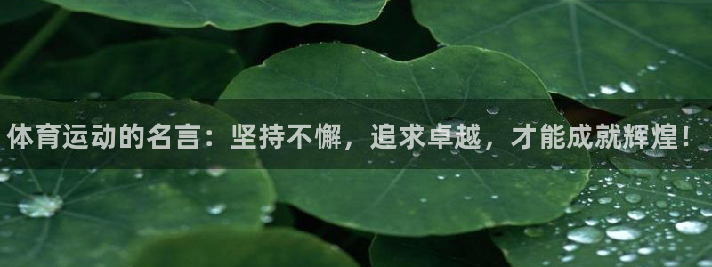 ug环球官网注册：体育运动的名言：坚持不懈，追求卓越，才能成就辉煌！