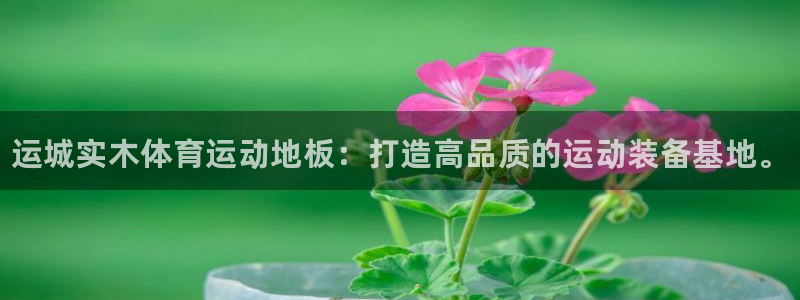 ug环球官网登录入口：运城实木体育运动地板：打造高品质的运动装备基地。