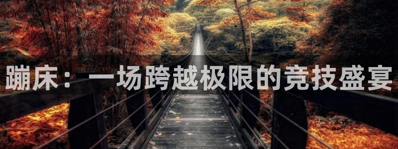 ug环球官网注册：蹦床：一场跨越极限的竞技盛宴