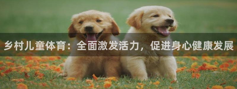 ug环球官网注册：乡村儿童体育：全面激发活力，促进身心健康发展
