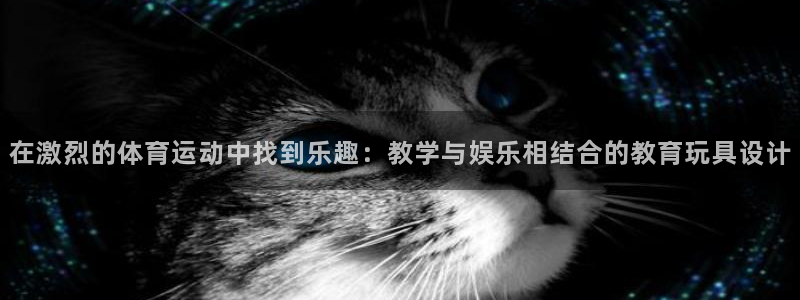 菲律宾ug环球官网：在激烈的体育运动中找到乐趣：教学与娱乐相结合的教育玩具设计