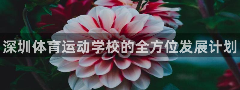ug环球官网登录入口：深圳体育运动学校的全方位发展计划