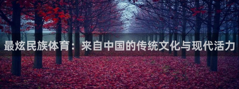 ug环球官网注册：最炫民族体育：来自中国的传统文化与现代活力