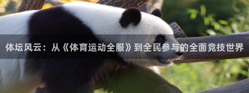ug环球官网：体坛风云：从《体育运动全服》到全民参与的全面竞技世界