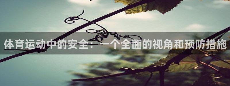 ug环球官网登录入口：体育运动中的安全：一个全面的视角和预防措施