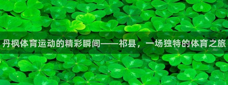 ug环球官网登录入口：丹枫体育运动的精彩瞬间——祁县，一场独特的体育之旅