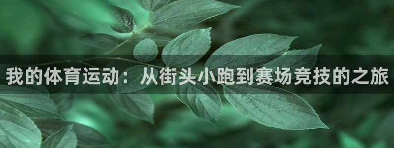 ug环球官网：我的体育运动：从街头小跑到赛场竞技的之旅