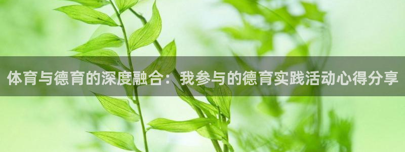 ug环球官网：体育与德育的深度融合：我参与的德育实践活动心得分享