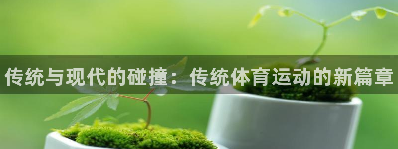 ug环球官网注册：传统与现代的碰撞：传统体育运动的新篇章