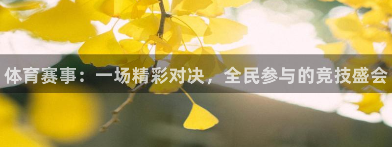 菲律宾ug环球官网：体育赛事：一场精彩对决，全民参与的竞技盛会