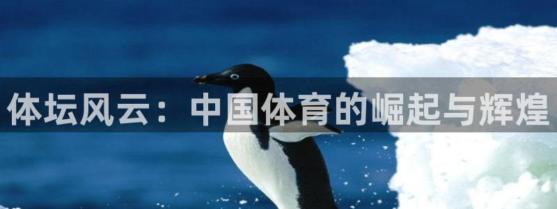 ug环球官网：体坛风云：中国体育的崛起与辉煌